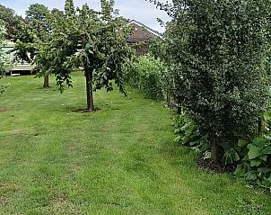 Groene boomgaard bij Huisje in Emmer-Compascuum, vakantiehuis in Zuidoost Drenthe, Drenthe.