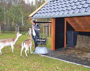 Verblijf 200104 - Vakantiewoning Zuidwest Drenthe - Vakantiehuis in Fluitenberg