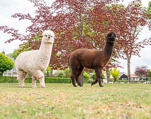 Verblijf 200104 - Vakantiewoning Zuidwest Drenthe - Vakantiehuis in Fluitenberg