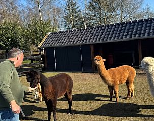 Verblijf 200104 - Vakantiewoning Zuidwest Drenthe - Vakantiehuis in Fluitenberg