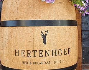 Verblijf 200104 - Vakantiewoning Zuidwest Drenthe - Vakantiehuis in Fluitenberg