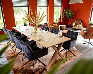 Stijlvolle eetkamer in Vakantiehuis in Fluitenberg, Zuidwest Drenthe, met grote eettafel.