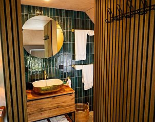 Luxe badkamer in Vakantiehuis in Fluitenberg, Zuidwest Drenthe, met moderne inrichting.