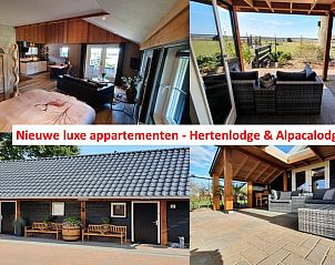 Guest house 200106 - Holiday property Zuidwest Drenthe - Vakantiehuisje in Fluitenberg