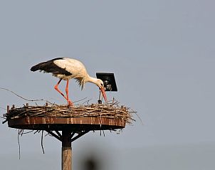 Guest house 200107 - Holiday property Zuidwest Drenthe - Vakantiehuisje in Fluitenberg