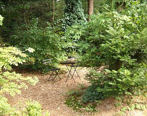 Rustieke tuin met zitplek bij DE larix 150 bungalow in Diever, omgeven door weelderige natuur.