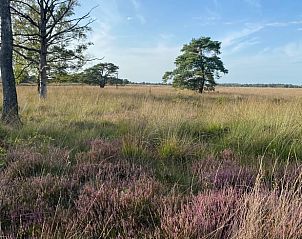 Unterkunft 200221 - Ferienhaus Zuidwest Drenthe - Vakantiehuisje in Doldersum