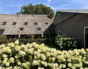 Guest house 200312 - Holiday property Zuidwest Drenthe - DG1705