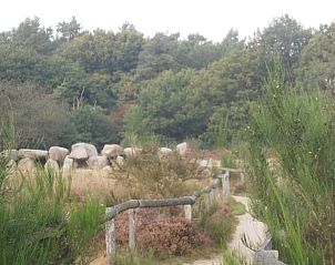 Guest house 200321 - Holiday property Zuidwest Drenthe - Huisje in Havelte