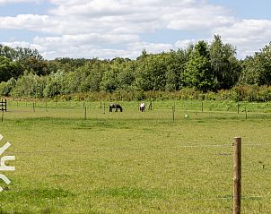 Guest house 200328 - Holiday property Zuidwest Drenthe - DG1468