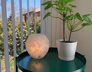 Unterkunft 200333 - Ferienhaus Zuidwest Drenthe - Huisje in Havelte