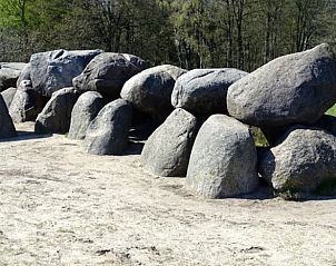 Unterkunft 200333 - Ferienhaus Zuidwest Drenthe - Huisje in Havelte
