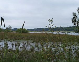 Unterkunft 200333 - Ferienhaus Zuidwest Drenthe - Huisje in Havelte