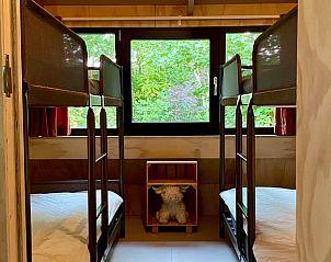 Guest house 200339 - Holiday property Zuidwest Drenthe - Vakantiehuis in Havelte