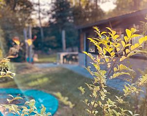 Guest house 200339 - Holiday property Zuidwest Drenthe - Vakantiehuis in Havelte