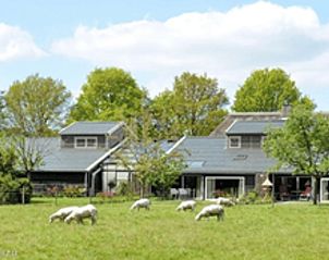 Ferienhaus in Diever, Sdwest-Drenthe, bietet einen wunderschnen Blick auf grne Felder und grasende Schafe fr einen entspannten Aufenthalt.