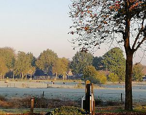 Genieen Sie die Ruhe und die grne Umgebung im Ferienhaus DG2052 in Diever, im Sdwesten von Drenthe, mit Blick auf die ppige Natur und die Bume.