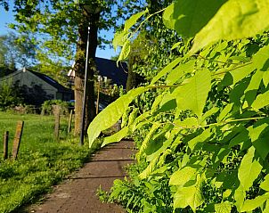 Verblijf 200429 - Vakantiewoning Zuidwest Drenthe - Vakantiehuis Geschmackvoll eingerichtetes Bauernhaus aus dem
