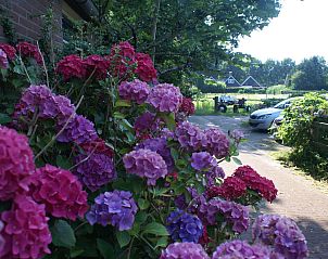 Verblijf 200429 - Vakantiewoning Zuidwest Drenthe - Vakantiehuis Geschmackvoll eingerichtetes Bauernhaus aus dem