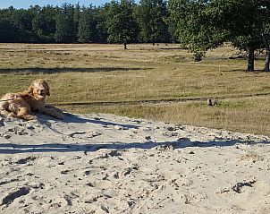 Verblijf 200429 - Vakantiewoning Zuidwest Drenthe - Vakantiehuis Geschmackvoll eingerichtetes Bauernhaus aus dem