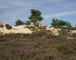Verblijf 200429 - Vakantiewoning Zuidwest Drenthe - Vakantiehuis Geschmackvoll eingerichtetes Bauernhaus aus dem