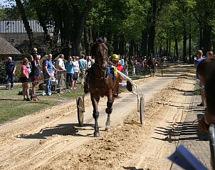 Verblijf 200429 - Vakantiewoning Zuidwest Drenthe - Vakantiehuis Geschmackvoll eingerichtetes Bauernhaus aus dem