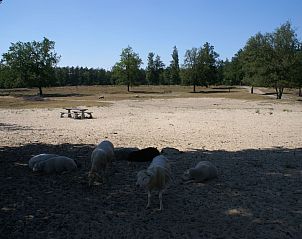 Verblijf 200429 - Vakantiewoning Zuidwest Drenthe - Vakantiehuis Geschmackvoll eingerichtetes Bauernhaus aus dem