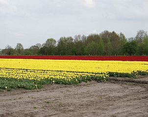 Verblijf 200429 - Vakantiewoning Zuidwest Drenthe - Vakantiehuis Geschmackvoll eingerichtetes Bauernhaus aus dem
