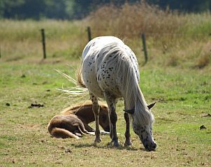 Verblijf 200429 - Vakantiewoning Zuidwest Drenthe - Vakantiehuis Geschmackvoll eingerichtetes Bauernhaus aus dem