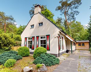 Ferienhaus Borre Bos in Diever, Drenthe, umgeben von grner Natur und rustikalem Charme.