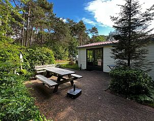 Verblijf 200456 - Chalet Zuidwest Drenthe - Boszicht
