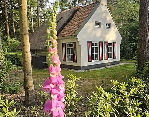 Verblijf 200463 - Vakantiewoning Zuidwest Drenthe - Idyllische plek