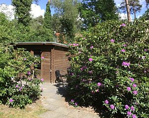 Verblijf 200479 - Vakantiewoning Zuidwest Drenthe - Ons Wildryck huisje Hertenspoor66 Diever