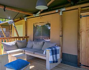 Guest house 200482 - Tent house Zuidwest Drenthe - Glamping Medley Lodge