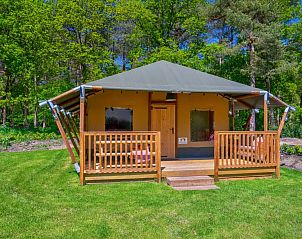 Guest house 200484 - Tent house Zuidwest Drenthe - Glamping Safari Cottage