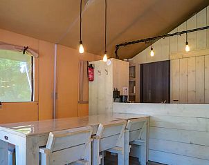 Guest house 200484 - Tent house Zuidwest Drenthe - Glamping Safari Cottage