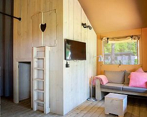 Guest house 200484 - Tent house Zuidwest Drenthe - Glamping Safari Cottage