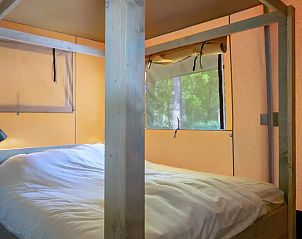 Guest house 200484 - Tent house Zuidwest Drenthe - Glamping Safari Cottage