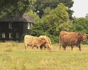 Guest house 200507 • Holiday property Zuidwest Drenthe • Welkom in het Reestdal 