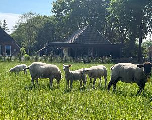 Unterkunft 200512 - Ferienhaus Zuidwest Drenthe - Huisje in Zuidwolde