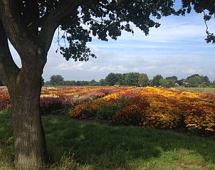 Verblijf 200515 - Vakantiewoning Zuidwest Drenthe - Vakantiehuis in Zuidwolde