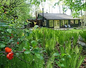 Guest house 200521 • Holiday property Zuidwest Drenthe • Huisje in Zuidwolde 