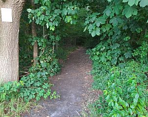 Unterkunft 200521 - Ferienhaus Zuidwest Drenthe - Vakantiehuis in Zuidwolde