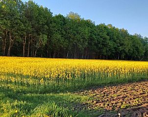 Unterkunft 200521 - Ferienhaus Zuidwest Drenthe - Vakantiehuis in Zuidwolde