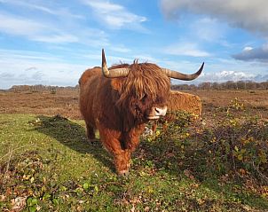 Unterkunft 200523 - Ferienhaus Zuidwest Drenthe - Huisje in Zuidwolde
