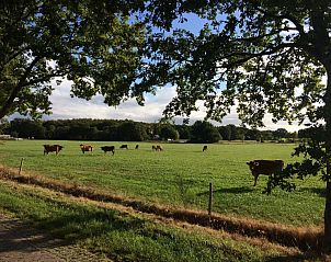 Guest house 200538 - Holiday property Zuidwest Drenthe - Vrijzicht