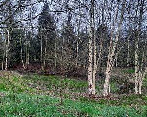 Unterkunft 200603 - Ferienhaus Zuidwest Drenthe - Huisje in Nieuweroord