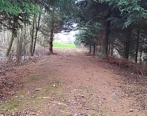 Unterkunft 200603 - Ferienhaus Zuidwest Drenthe - Huisje in Nieuweroord