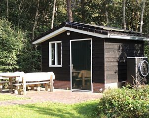 Huisje in Ruinen, een charmant vakantiehuis in Zuidwest Drenthe met een gezellige veranda omgeven door natuur.