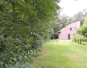 Huisje in Ruinen, vakantiehuis in Zuidwest Drenthe, omgeven door weelderige natuur en een groene tuin, ideaal voor een rustige ontsnapping.